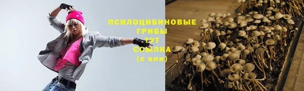 ECSTASY Абинск