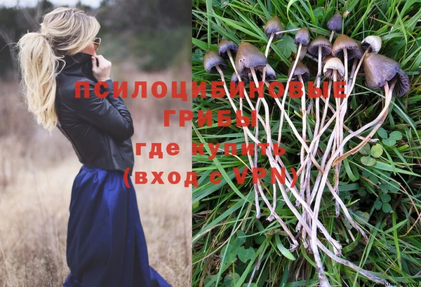 СК Абаза